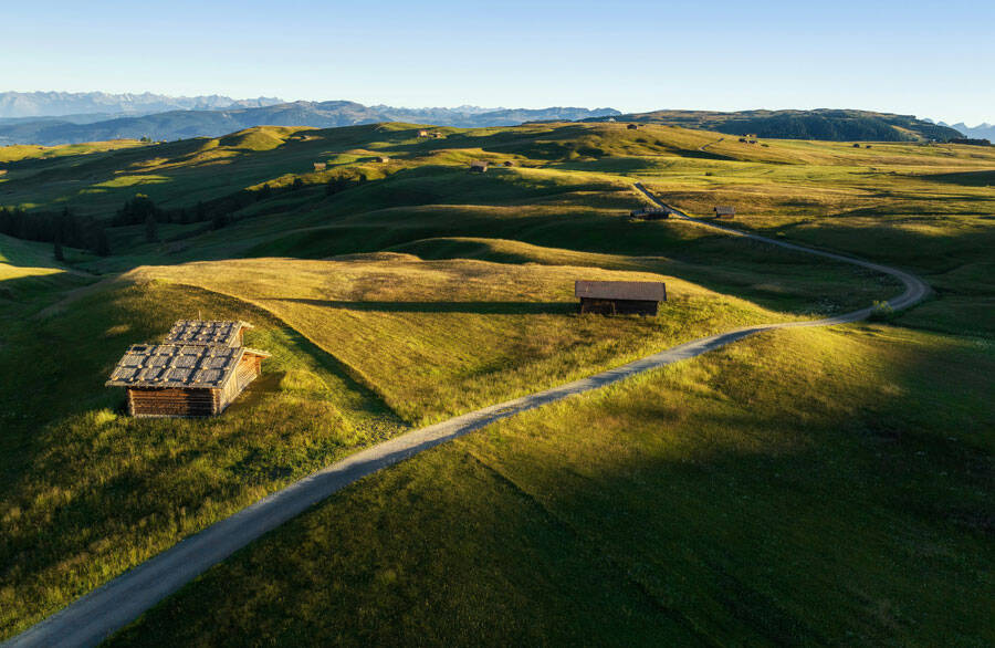 Photo of a New Zealand farm with lush green fields